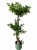 Sztuczne drzewko bonsai liściaste