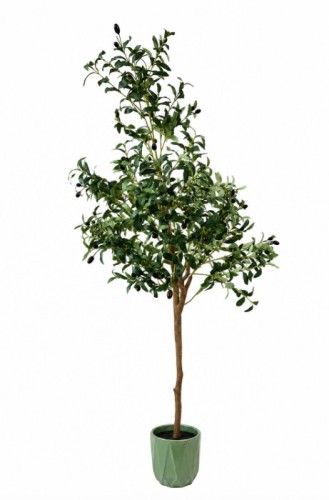 Sztuczne drzewko oliwkowe 180cm