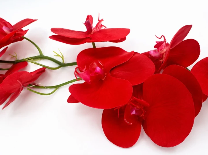 Sztuczna gałązka kwiatowa orchidea