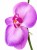 Sztuczna gałązka kwiatowa orchidea