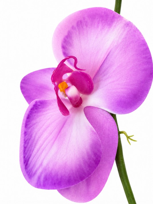Sztuczna gałązka kwiatowa orchidea