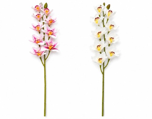 Pojedynczy kwiat orchidea storczyk