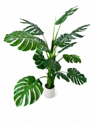 sztuczne monstera