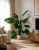 sztuczne monstera