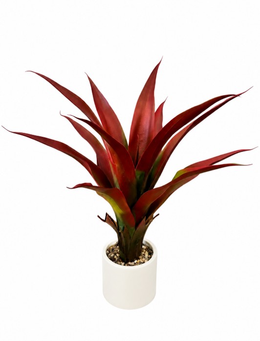 sztuczna agawa czerwona 75 cm
