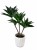 Sztuczna roślina sukulent dracena