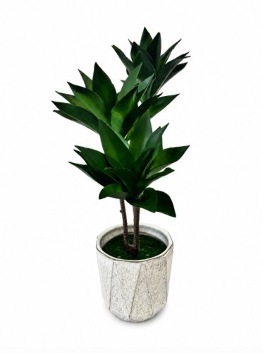 Sztuczna roślina sukulent dracena