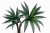 Sztuczna roślina sukulent aloes