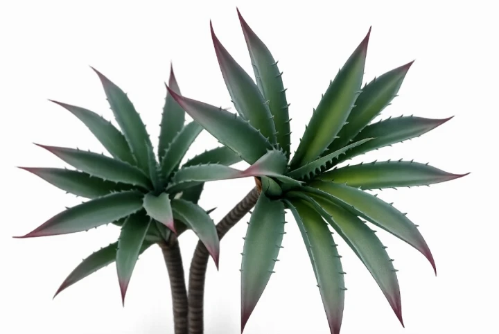 Sztuczna roślina sukulent aloes