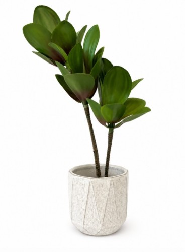 Sztuczna roślina sukulent Kalanchoe Flapjack
