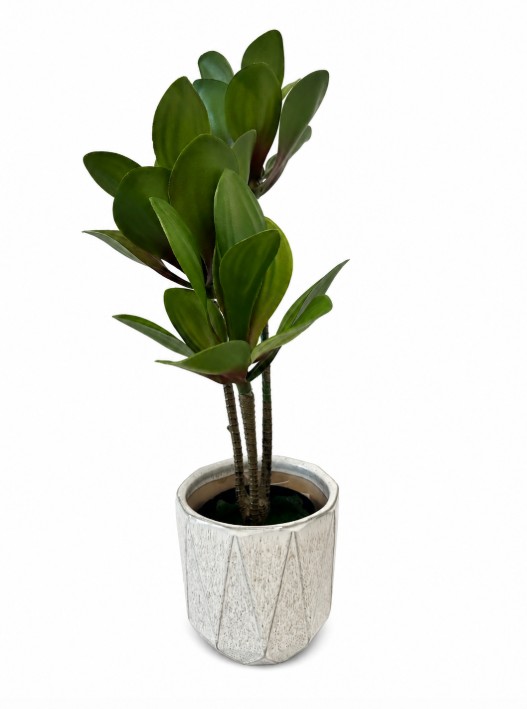 Sztuczna roślina sukulent Kalanchoe Flapjack