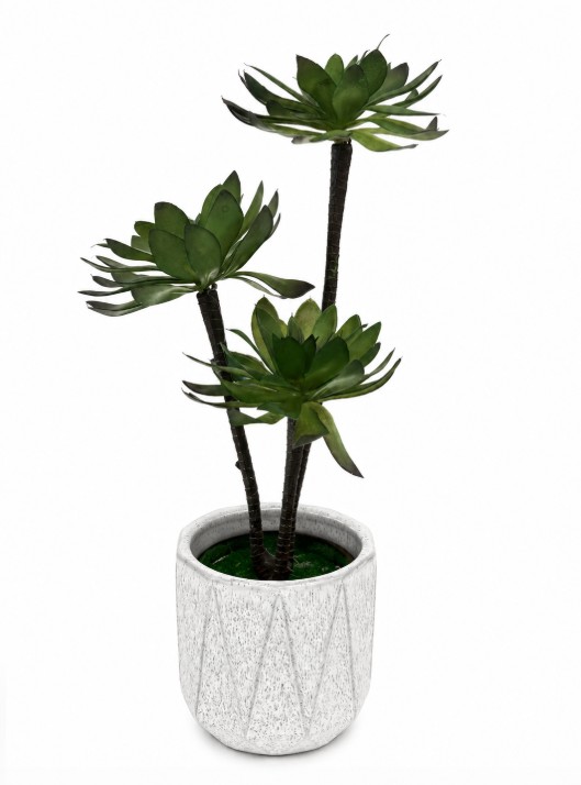 sztuczne rosliny sukulent aeonium ciemna zielen.jpg