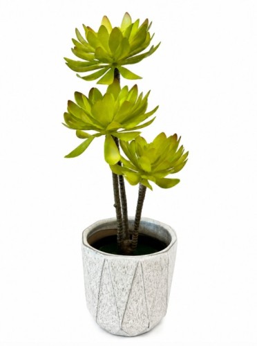 sztuczne rosliny sukulent aeonium jasna zielen.jpg