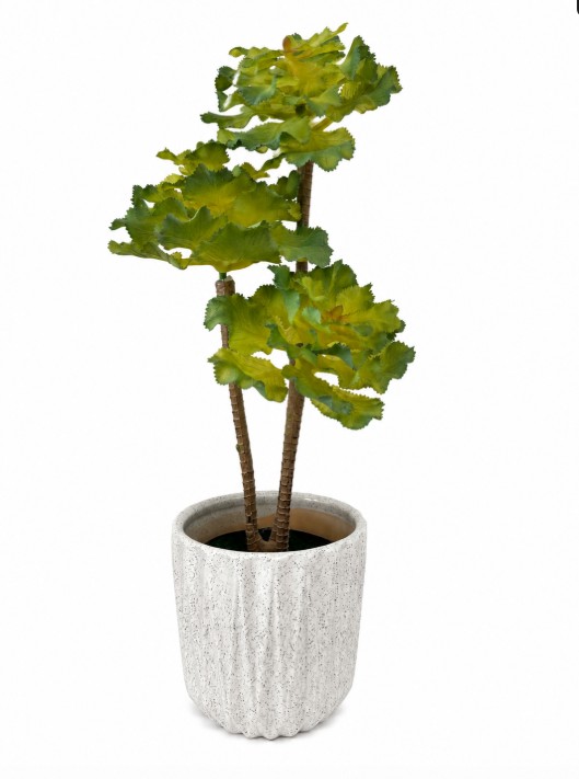 sztuczne rosliny sukulent eonium jasna zielen.jpg